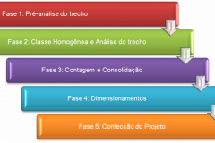 Fases do procedimento